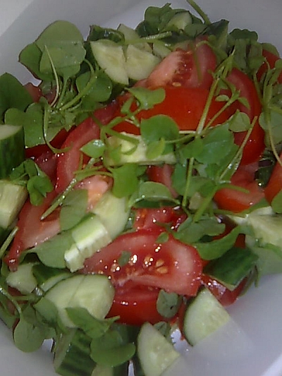 Vesiheinä-tomaatti-kurkku salaatti