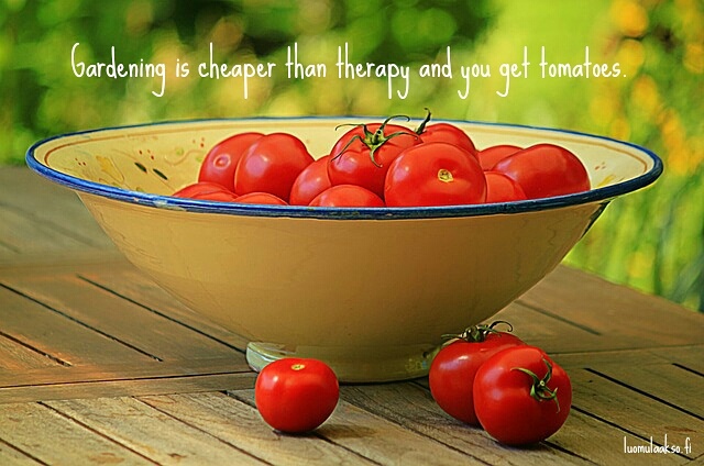 Gardening is cheaper than therapy and you get tomatoes 